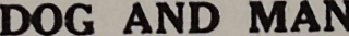 Search result preview image