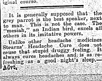 Article image