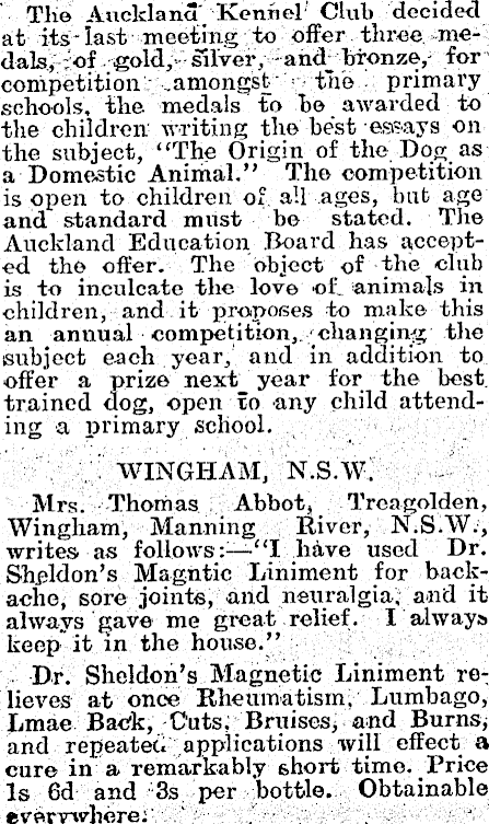 Article image