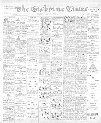 Issue page