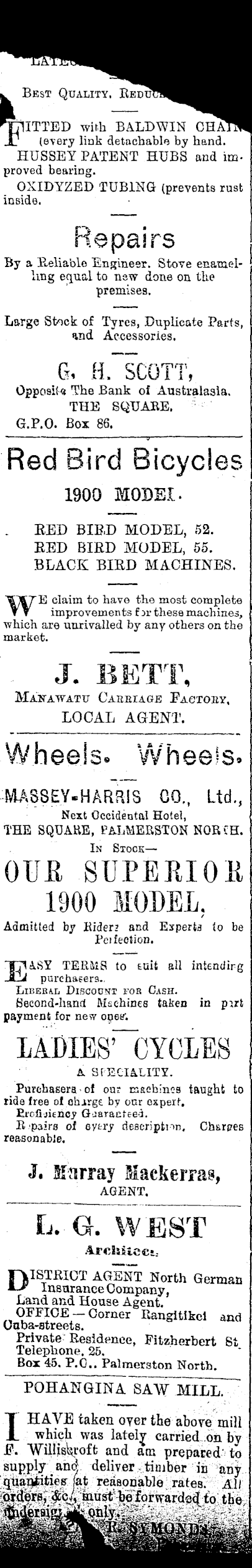 Article image